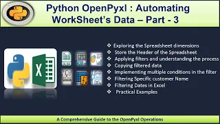 Python Excel Automation Analysis OpenPyxl Tutorial on Filter and Its Operations - Part