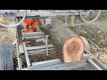 Homemade Bandsaw Mill vs Elm tree