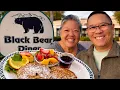 Black Bear Diner Went in Hungry Left in Hibernation