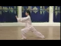 Lagu 杨式太极拳二十四式背面演示（口令字幕）