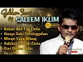 Download Lagu Golden Song Of Saleem Iklim | Lagu Terbaik Saleem Iklim 