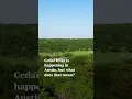 Feeling the effects of cedar fever in Central Texas Here s why you can blame the weather