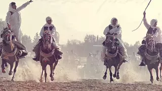 شعر شعبي اشرف الفقي اجرعت يا وطني الكبير الكأس 