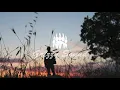 Vance Joy - Like Gold