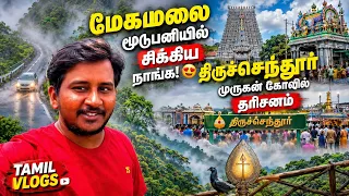 மேகமலை மூடுபனியில் சிக்கிய நாங்க! 😍 | திருச்செந்தூர் முருகன் கோவில் தரிசனம் | Tamil Vlogs
