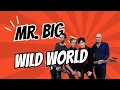 Lagu Mr  Big : Wild World (Lyrics Video)