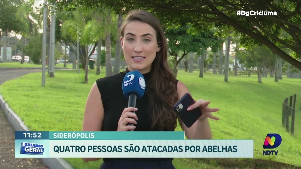 Alerta: como agir diante de um ataque de abelhas?