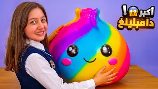 سويت اكبر دامبلينغ سكوشي بحجم شنطتي المدرسية 😭🎒