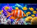 OCEAN DREAMS 8K – Mesmerizing Coral Reefs 🐠 Calming Piano Melodies for Deep Relaxation #5