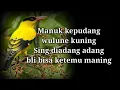 Download Lagu Lirik Lagu | Manuk Kepudang