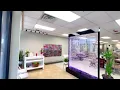 ROYAL NAILS WAX - best nail salon in arvada co
