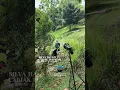 Download Lagu Cabiak Di Dalam - Silva Hayati | BTS
