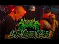Download Lagu Visceral Disgorge  - Live Viper Room Vienna 2025