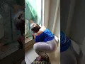 Download Lagu hoje ela tá muito em graçadinha desse jeito kk.