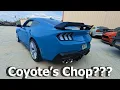 Can Coyote s Chop Wengerd Performance Ghost Cam
