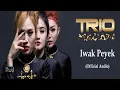 Download Lagu Trio Macan - Iwak Peyek (Official Audio)