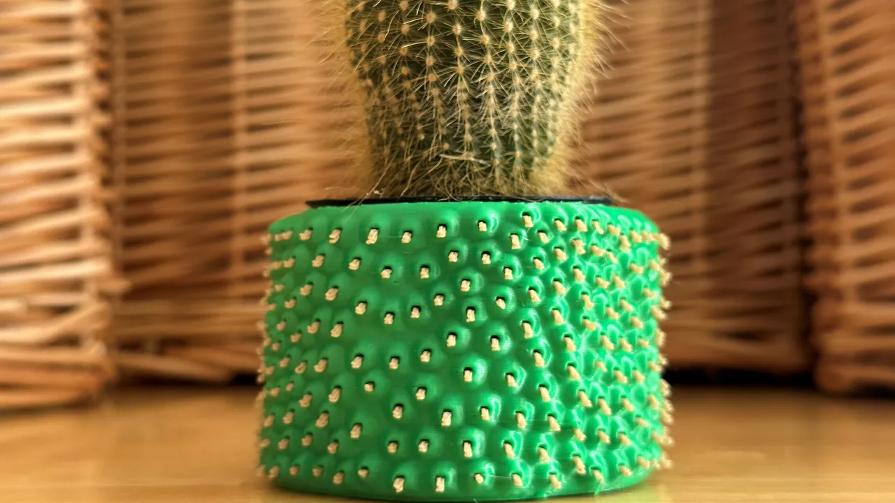 Cactus Container video thumbnail
