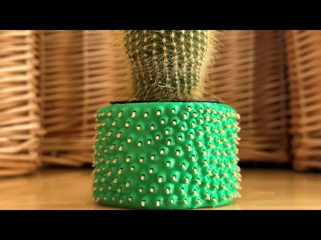 Cactus Container video thumbnail