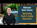 Hibernate Query Spaces Optimizing Flush Cache Operations