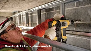                                                      دندنها