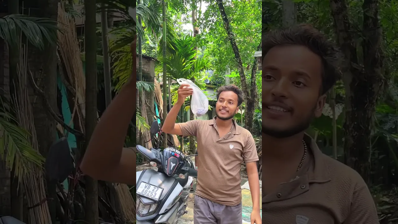 ইঁদুরের উপদ্রব