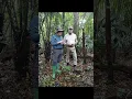 Download Lagu Tjebi Da Dan Expeditie Tours diep in het Surinaamse regenwoud #expeditietours #sipaliwini #kamp