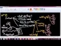 Lecture Num 21 HTML Forms Part 01