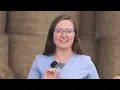 Career Connections Equine Massage Therapist