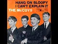 McCoys - Hang on Sloopy (1965)