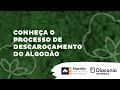Download Lagu Conheça o processo de descaroçamento do algodão