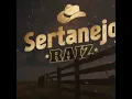 Download Lagu Sertanejo Raiz