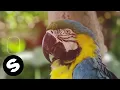 Download Lagu unfazed – A Gira (Official Music Video)