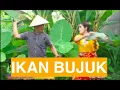 Ikan Bujuk - Wak Udin Feat Wulan Tano (Official Music Video)