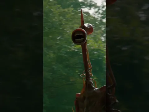 Hikers run into Siren Head