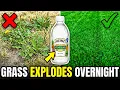 1 Drop Of White Vinegar and Weeds Are Gone Forever - Buried Lawncare Secret