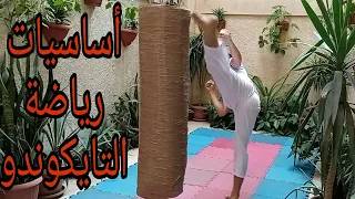 المبادئ الأساسية في رياضة التايكوندو التحية الوقفات الصدات الضربات  المبادئ الأساسية في رياضة التايكوندو التحية الوقفات الصدات الضربات
