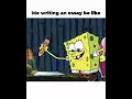SpongeBob essay