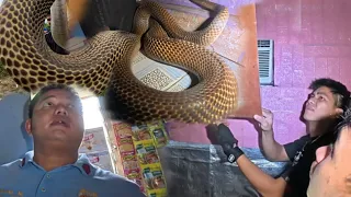DAHIL SA MATINDING BAHA NAGPASUKAN ANG MGA COBRA SA KWARTO NG PULIS 😱