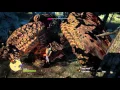 Dragon s Dogma Dark Arisen PC - Devilfire Grove Drake