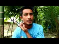 Download Lagu cara mudah meloloh anakan burung pipit
