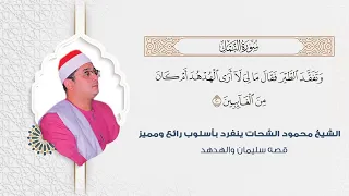  وتفقد الطير فقال مالي لا أرى الهدهد  الشيخ محمود الشحات ينفرد بأسلوب رائع ومميز  قصه سليمان والهدهد دندنها