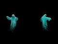 Halloween Dancing Ghost Split Projection Loop