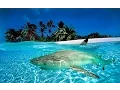 Download Lagu Scuba Diving Indonesia - Derawan, Kakaban, \u0026 Sangalaki Islands Underwater HD PREVIEW