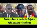 Lagu Pashata - Zanu Pf Yorakasha Tagwirei NaMnangagwa -Coup looms