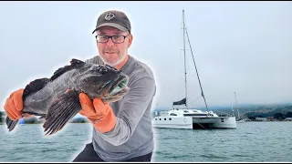 The One Where Teal Actually Catches A FISH!  – Onboard Lifestyle ep.164