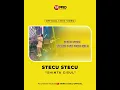 Lagu Outnow~ stecu stecu versi dangdut #shintagisul #stecustecu #dangdut #videolirik #karaokedangdut