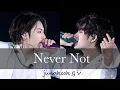 Download Lagu never not  BTS  Jungkook \u0026 V cover