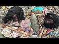 Download Lagu Rescued A Mute Homeless Boy Form Trash | A first Haircut Transformation 