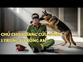 Download Lagu Chú Chó Hoang Cứu Sống Một Trung Úy Công An Và Cái Kết Khiến Bạn Bật Khóc