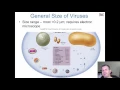 Chapter 6 - The Viruses